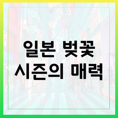 일본 벚꽃 시즌의 매력