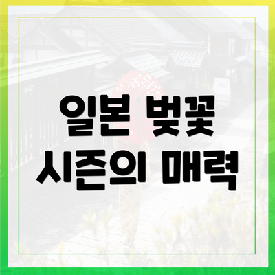 일본 벚꽃 시즌의 매력