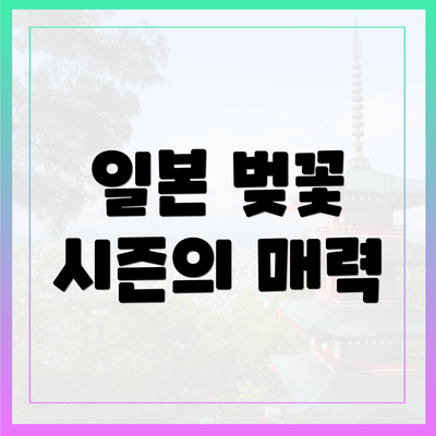 일본 벚꽃 시즌의 매력