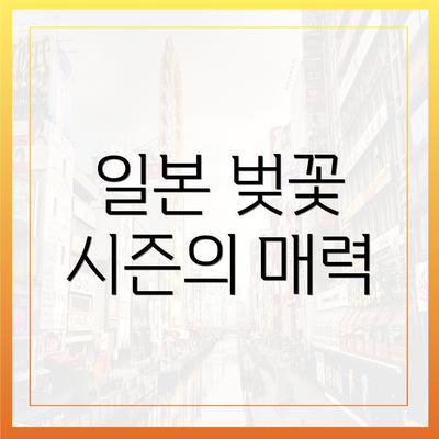 일본 벚꽃 시즌의 매력