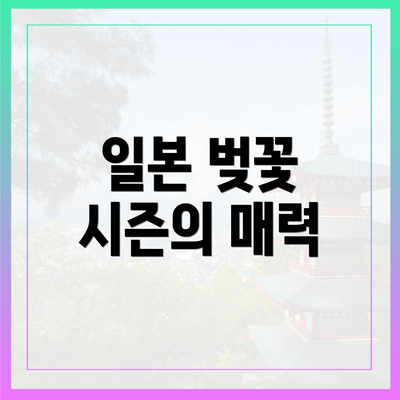 일본 벚꽃 시즌의 매력