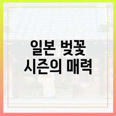 일본 벚꽃 시즌의 매력