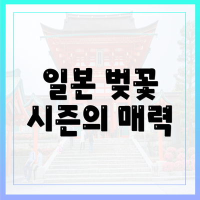 일본 벚꽃 시즌의 매력