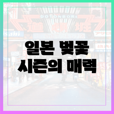 일본 벚꽃 시즌의 매력