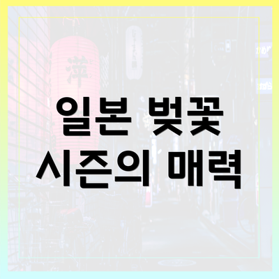 일본 벚꽃 시즌의 매력