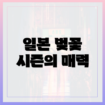 일본 벚꽃 시즌의 매력