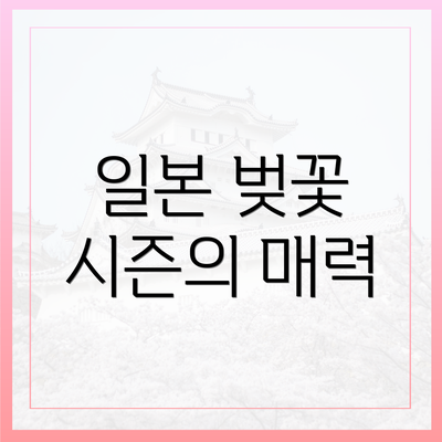 일본 벚꽃 시즌의 매력