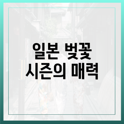 일본 벚꽃 시즌의 매력