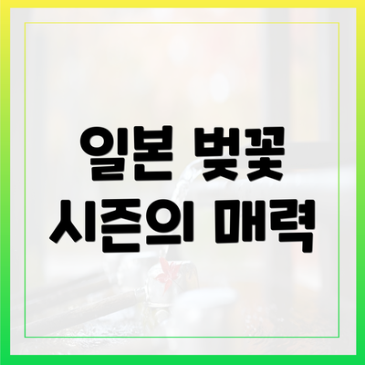 일본 벚꽃 시즌의 매력