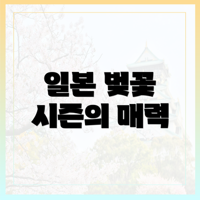 일본 벚꽃 시즌의 매력