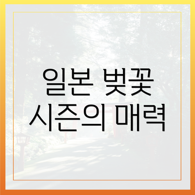 일본 벚꽃 시즌의 매력