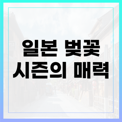 일본 벚꽃 시즌의 매력