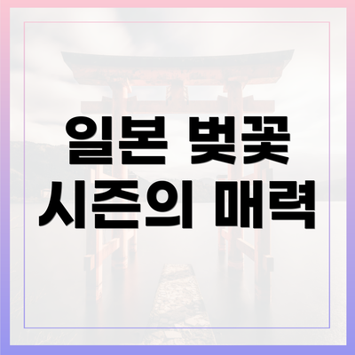 일본 벚꽃 시즌의 매력