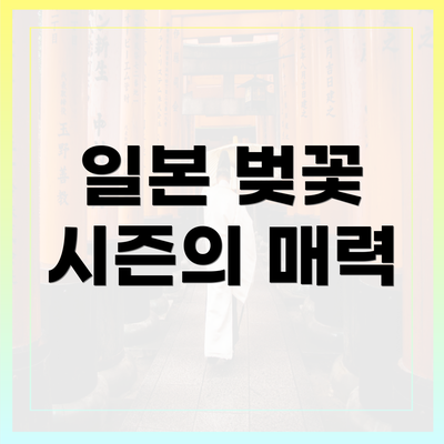일본 벚꽃 시즌의 매력