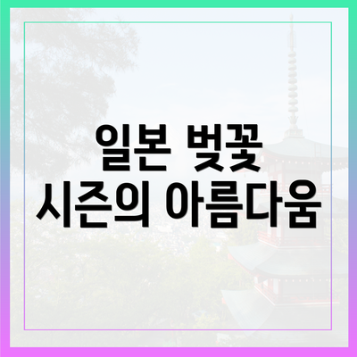 일본 벚꽃 시즌의 아름다움