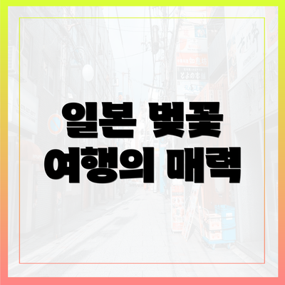 일본 벚꽃 여행의 매력