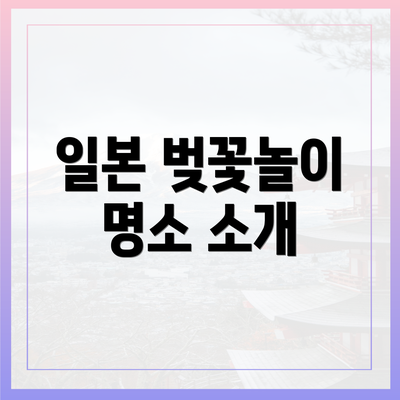 일본 벚꽃놀이 명소 소개