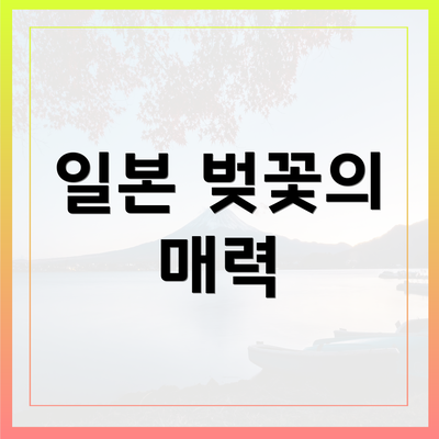 일본 벚꽃의 매력