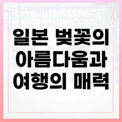 일본 벚꽃의 아름다움과 여행의 매력