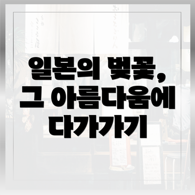 일본의 벚꽃, 그 아름다움에 다가가기