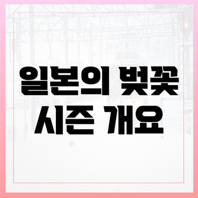 일본의 벚꽃 시즌 개요