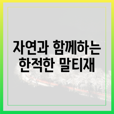 자연과 함께하는 한적한 말티재