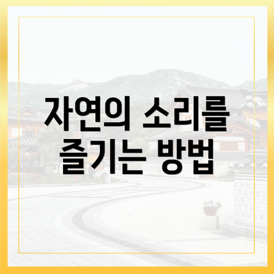 자연의 소리를 즐기는 방법