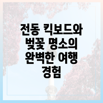 전동 킥보드와 벚꽃 명소의 완벽한 여행 경험