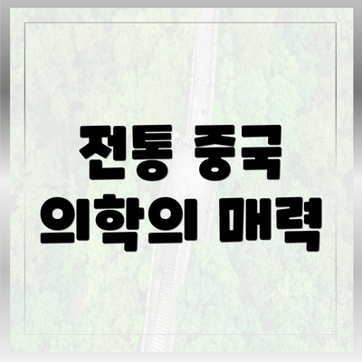 전통 중국 의학의 매력