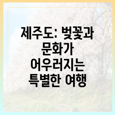 제주도: 벚꽃과 문화가 어우러지는 특별한 여행