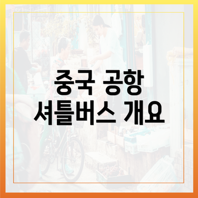 중국 공항 셔틀버스 개요
