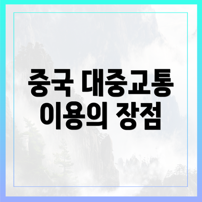 중국 대중교통 이용의 장점