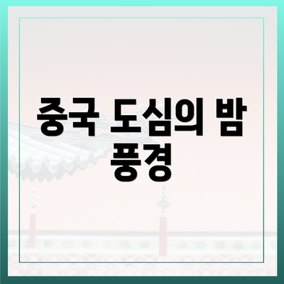 중국 도심의 밤 풍경