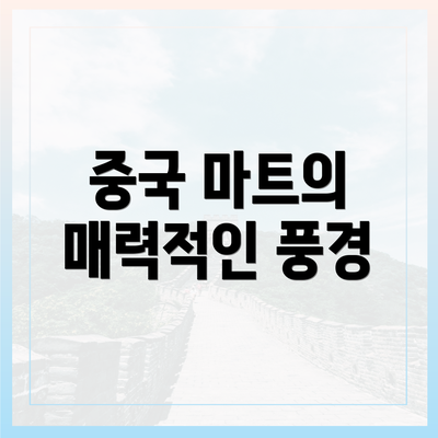 중국 마트의 매력적인 풍경