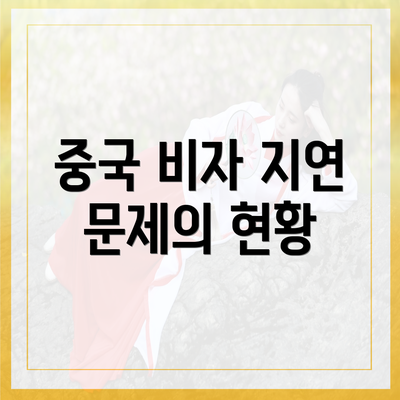 중국 비자 지연 문제의 현황