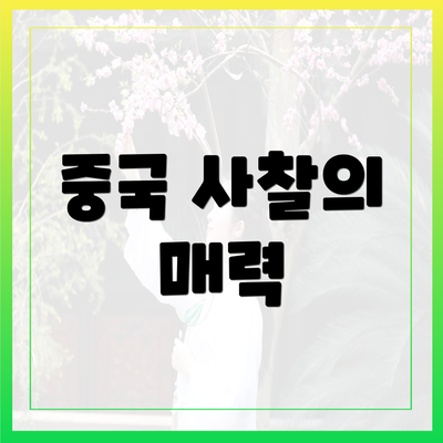 중국 사찰의 매력