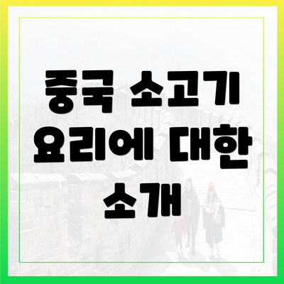 중국 소고기 요리에 대한 소개