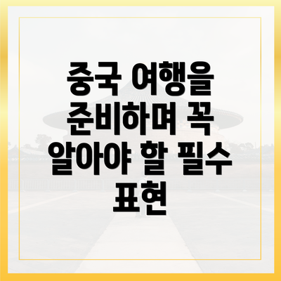 중국 여행을 준비하며 꼭 알아야 할 필수 표현