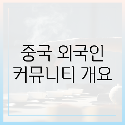 중국 외국인 커뮤니티 개요