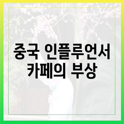 중국 인플루언서 카페의 부상