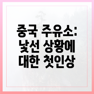 중국 주유소: 낯선 상황에 대한 첫인상