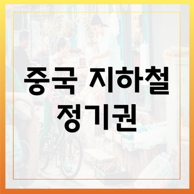 중국 지하철 정기권