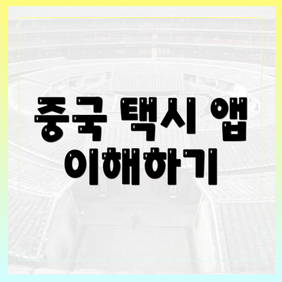 중국 택시 앱 이해하기