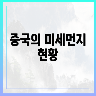 중국의 미세먼지 현황
