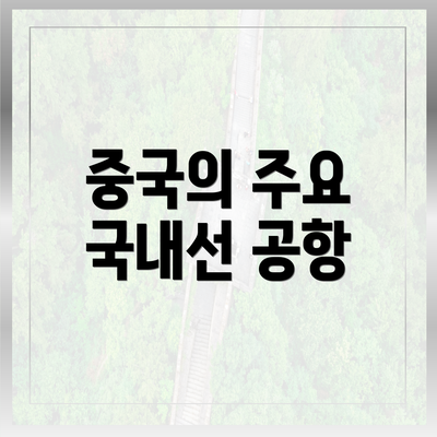 중국의 주요 국내선 공항