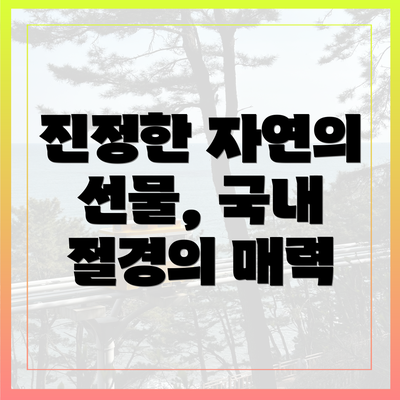 진정한 자연의 선물, 국내 절경의 매력