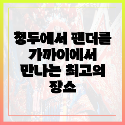 청두에서 팬더를 가까이에서 만나는 최고의 장소