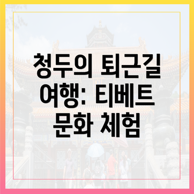 청두의 퇴근길 여행: 티베트 문화 체험