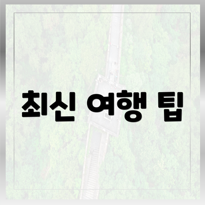 최신 여행 팁
