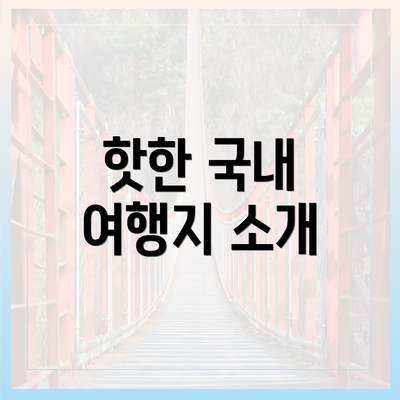 핫한 국내 여행지 소개